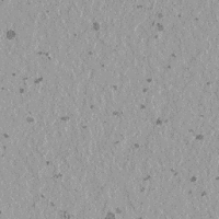 image186